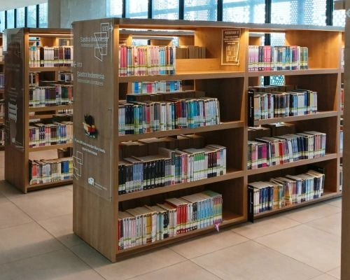 Custom bookshelves and built-in libraries